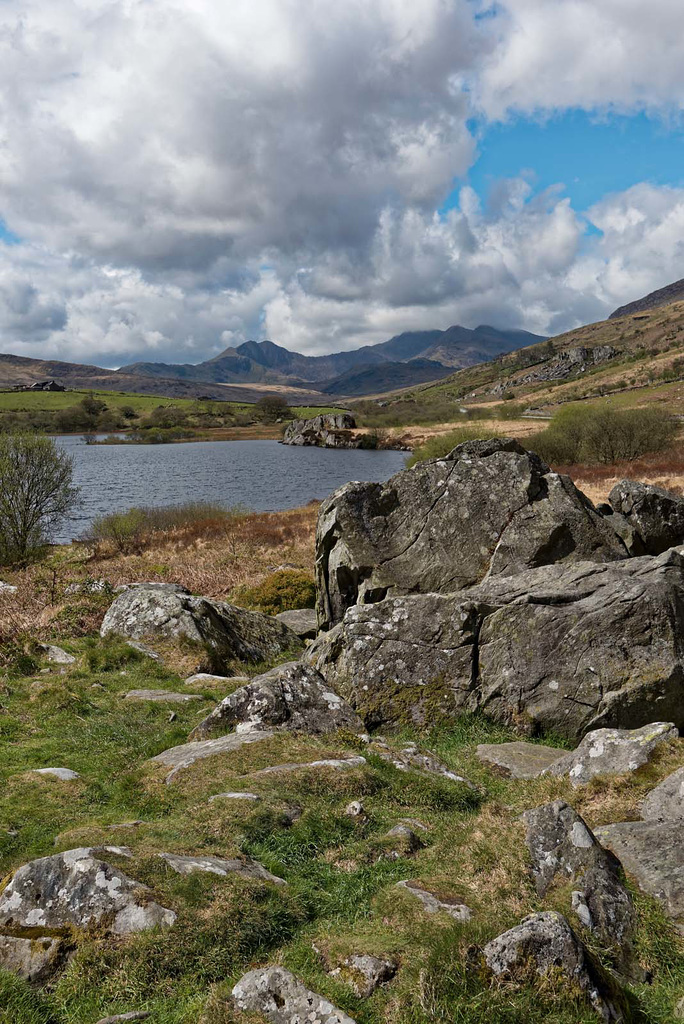 Portrait version of lake Lynnau