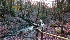 HFF.................