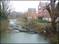 Sheepwash channel at Rewley