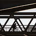 Cycliste sur un pont