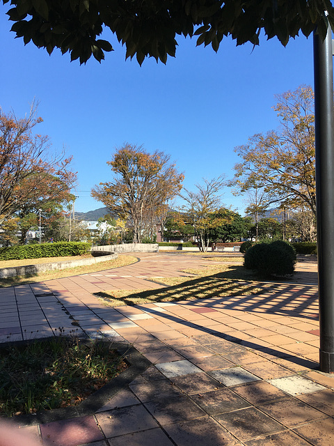 Park in Yaizu on a nice November day