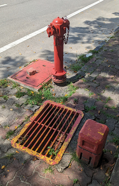 Borne-Fontaine malaisienne / Malaysian hydrant  (1)