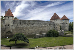 Murallas de Tallín   -   HFF