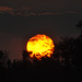 Sunsubiro. Okavango -Delto
