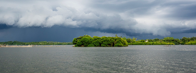 Madu river safari at Balapitiya, Sri Lanka