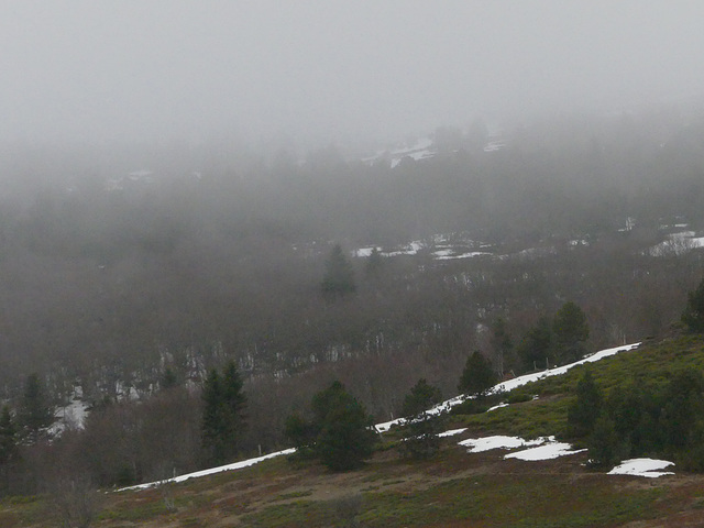 20190309 Rando solo Chalet de l'Aigle (Lozere) (241)