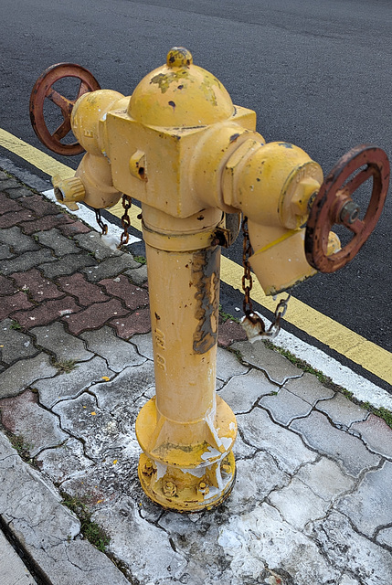 Malaysian hydrant /Borne-fontaine malaisienne  (2)