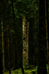 noch einer noch einer