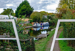 Framing Dylan Framing Dylan