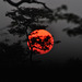 Sunsubiro. Okavango -Delto