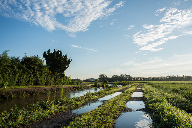 High water in the channel