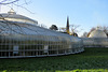 botanic gardens, glasgow