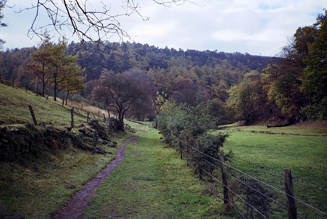 The Dane Valley Walk with River Dane on the right, and Forest Wood ahead.(Scan from 1990)