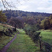 The Dane Valley Walk with River Dane on the right, and Forest Wood ahead.(Scan from 1990)