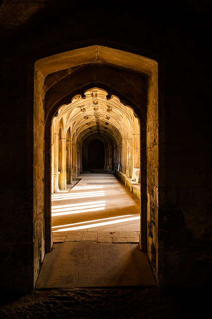 Lacock Abbey on Lady Day, 2019 (2)