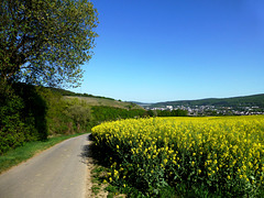 Frühlingsspaziergang