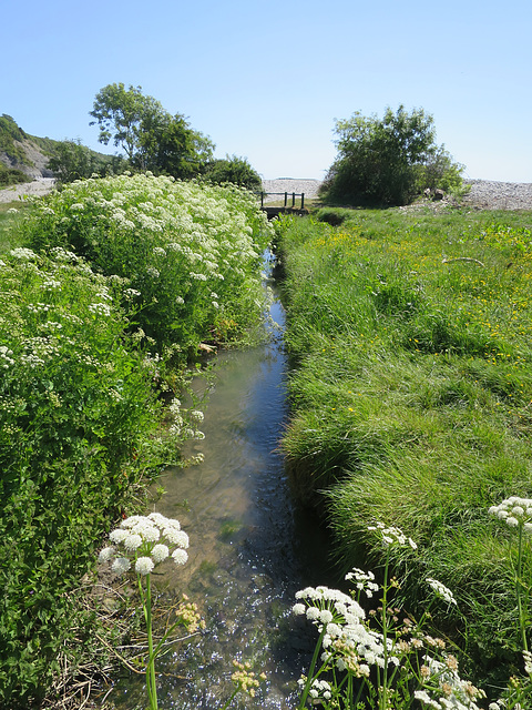 Porthkerry Park