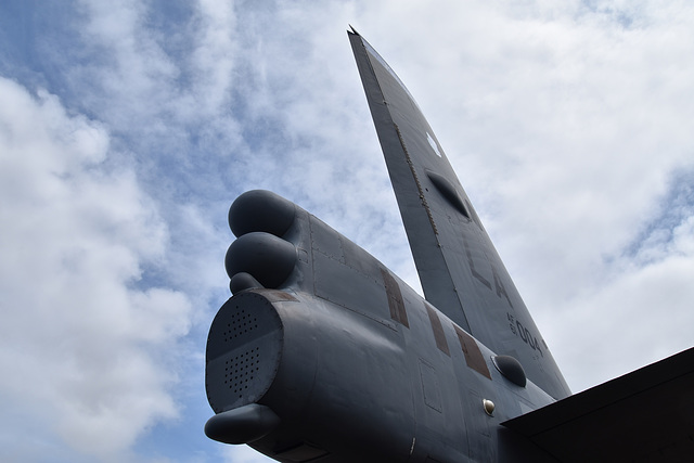 riatjul162023 (1079)