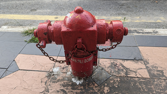 Borne-fontaine malaisienne /  Idrante malese (3)