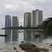 Branches de palmier et gratte-ciel / Palm tree and skyscrapers