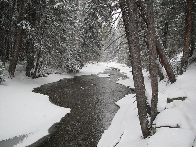 Nov 19, 2011, Granby CO