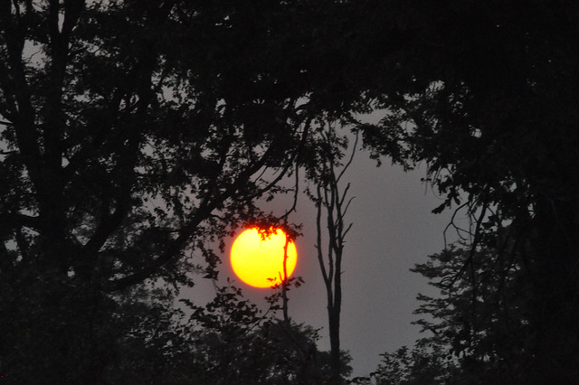 Sunleviĝo en la tendumejo. Okavango -Delto