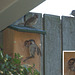 Sparrow chicks soon to take off, 3