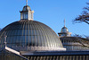 botanic gardens, glasgow