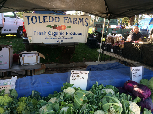 Toledo Farms