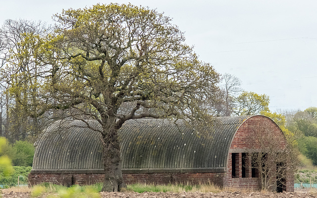 Old barn