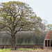 Old barn