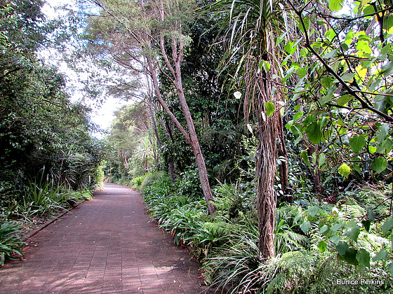 Up The Garden Path.