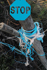 Blue rope as usual in Penedos, Stop HFF, See you next Friday