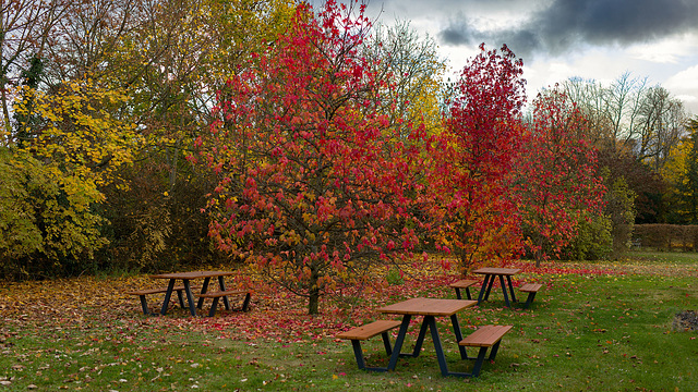 251120 Nyon Metairie 0