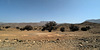 Contemplation constante sur la route 104 vers Tafraoute