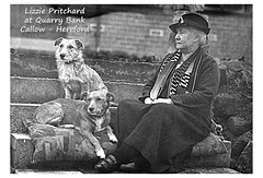 Lizzie Pritchard, Callow, Hereford c1920