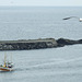 Fischkutter an der Hafeneinfahrt Svolvær