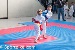 kj-karate-881 15182464304 o