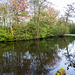 One of the meres at Burton wetlands rspb reserve