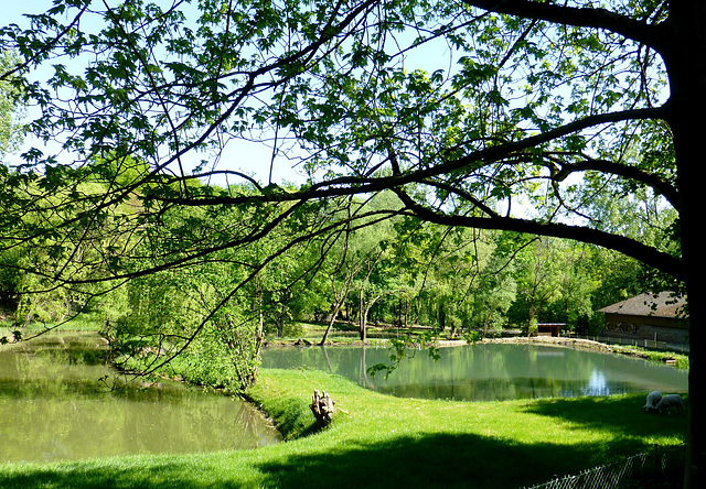 Auf dem Golfplatz