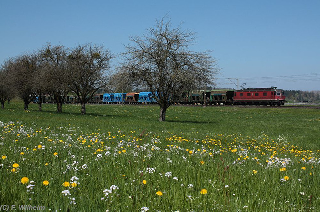 BÖ0020448 BÖ0020448