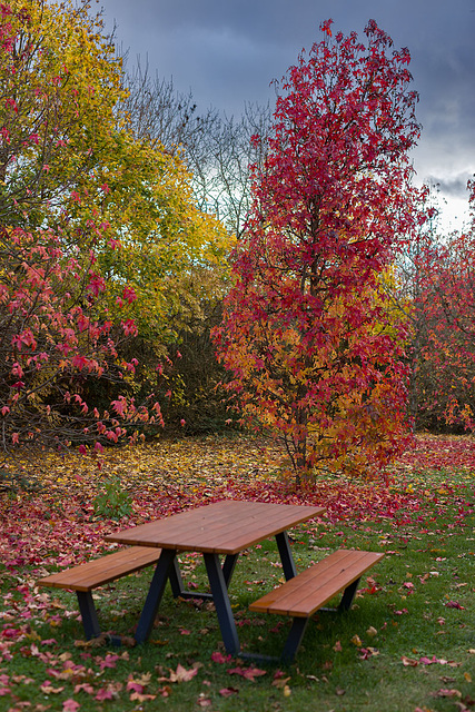 251120 Nyon Metairie 1