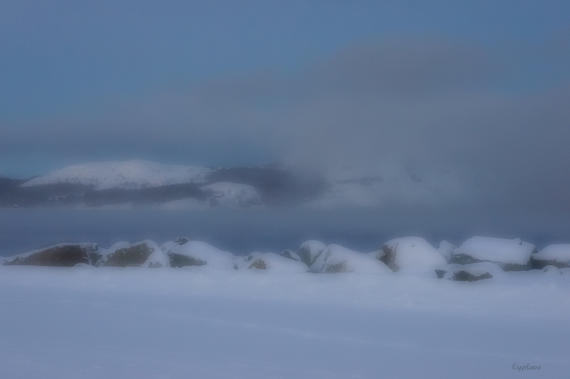 Barentssee-Nebel