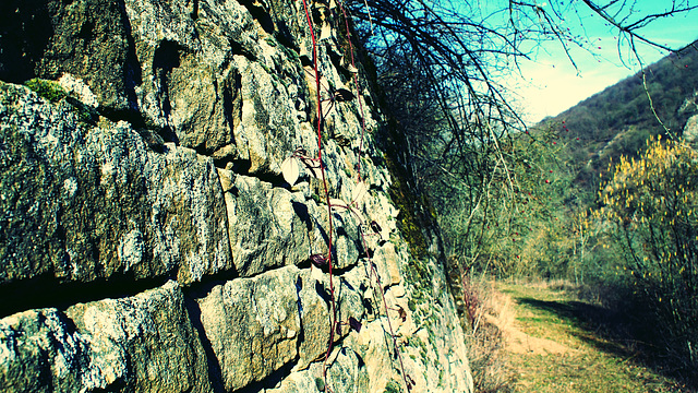 alte Weinbergsmauer