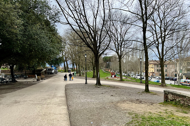 Lucca 2024 – City ramparts