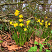 Spring is Here