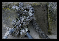 Matières, formes, couleurs XIX