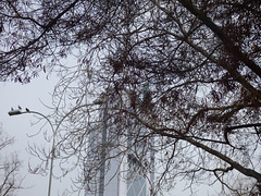 Edificio entre los árboles