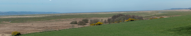 Panorama of the River Dee marshes