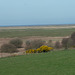 Panorama of the River Dee marshes